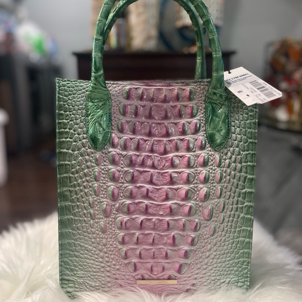 NWT - BRAHMIN MOIRA Apple Blush Ombre Melbourne